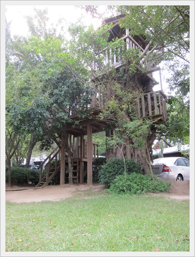 treehouse.JPG