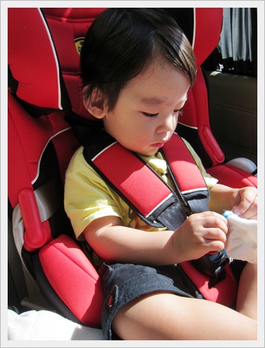 babyseat-1.JPG