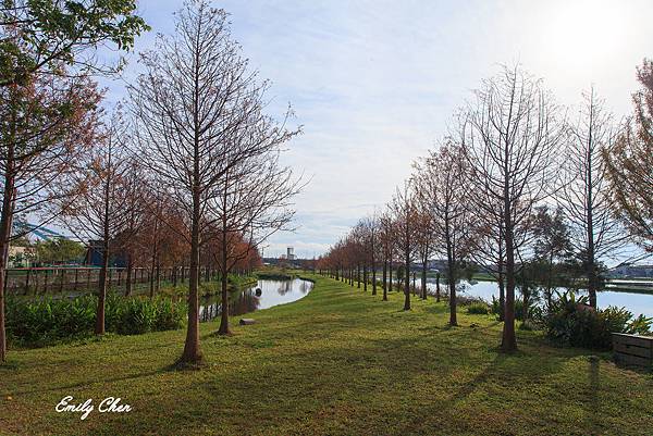 IMG_6289_2048.jpg IMG_6289_2048.jpg