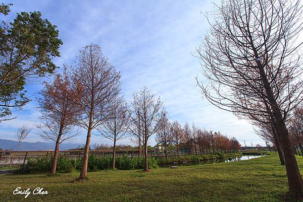 IMG_6290_2048.jpg IMG_6290_2048.jpg