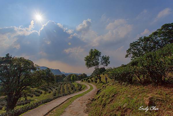 IMG_8518_2048.jpg IMG_8518_2048.jpg