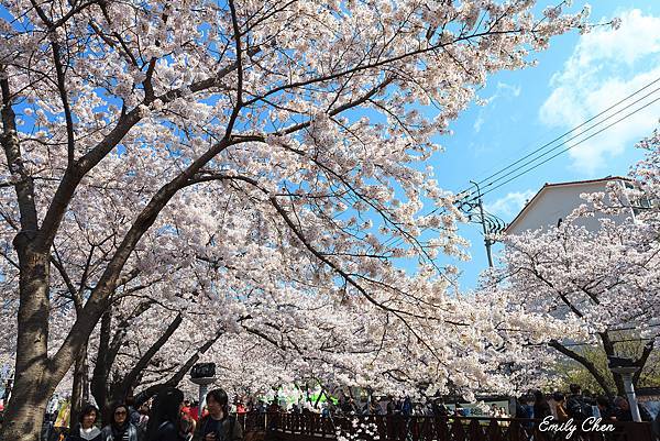 IMG_0080_2048.jpg IMG_0080_2048.jpg