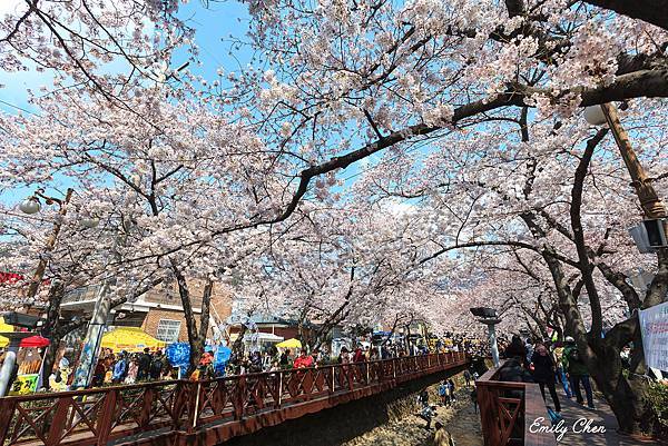 IMG_0091_2048.jpg IMG_0091_2048.jpg