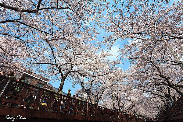 IMG_0104_2048.jpg IMG_0104_2048.jpg