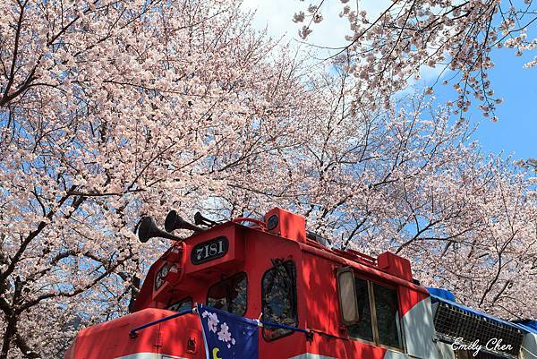 IMG_0131_2048.jpg IMG_0131_2048.jpg