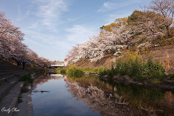 IMG_3164_2048.jpg IMG_3164_2048.jpg