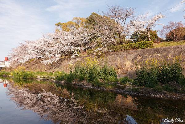 IMG_3162_2048.jpg IMG_3162_2048.jpg