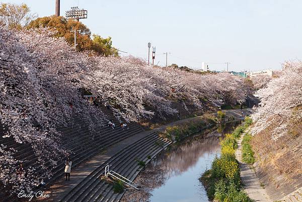 IMG_3157_2048.jpg IMG_3157_2048.jpg