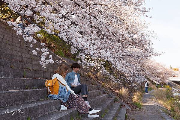 IMG_3178_2048.jpg IMG_3178_2048.jpg