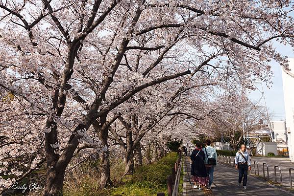 IMG_3152_2048.jpg IMG_3152_2048.jpg