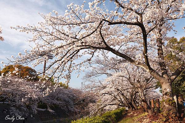 IMG_3212_2048.jpg IMG_3212_2048.jpg