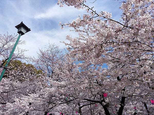 IMAG0391_2048.jpg IMAG0391_2048.jpg