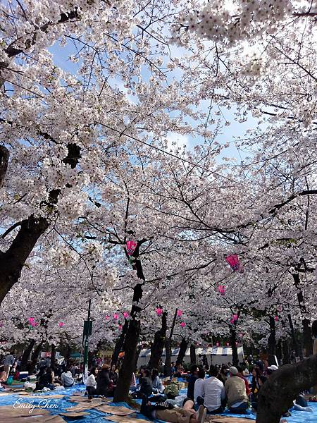 IMAG0384_2048.jpg IMAG0384_2048.jpg