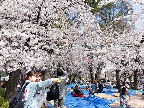 IMAG0382_2048.jpg IMAG0382_2048.jpg