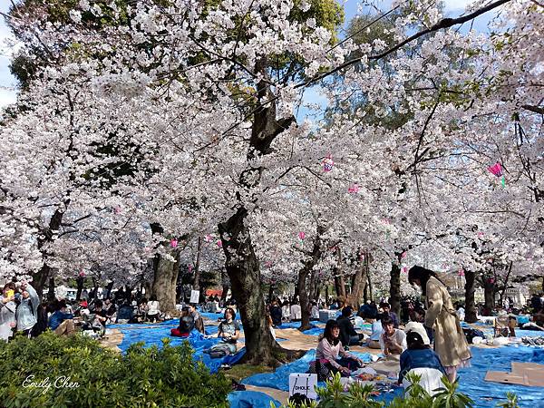 IMAG0383_2048.jpg IMAG0383_2048.jpg