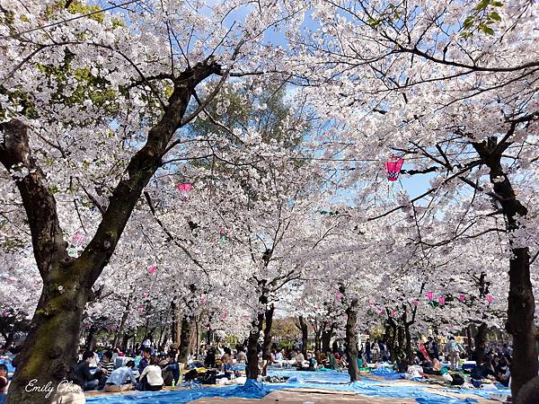 IMAG0386_2048.jpg IMAG0386_2048.jpg