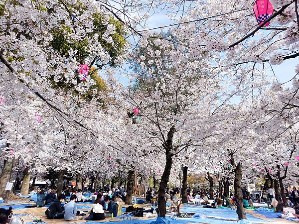 IMAG0388_2048.jpg IMAG0388_2048.jpg