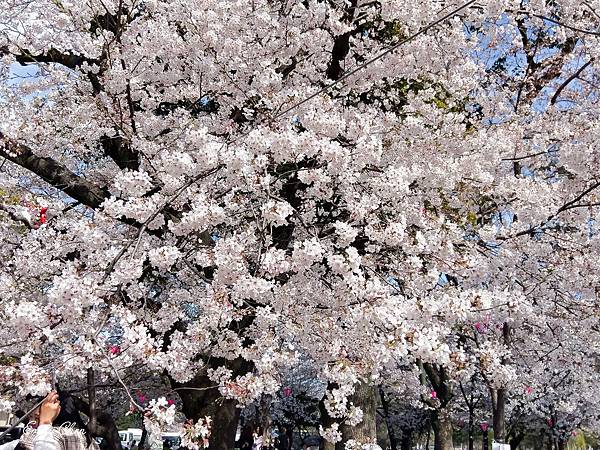 IMAG0381_2048.jpg IMAG0381_2048.jpg