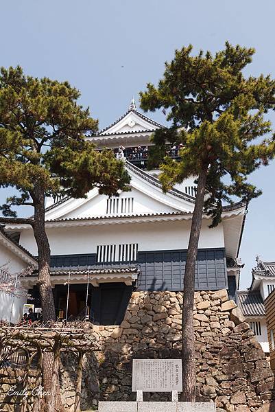 IMG_3253_2048.jpg IMG_3253_2048.jpg