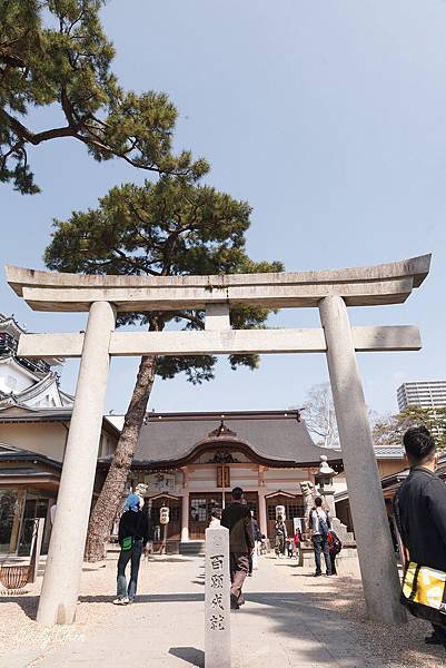 IMG_3255_2048.jpg IMG_3255_2048.jpg