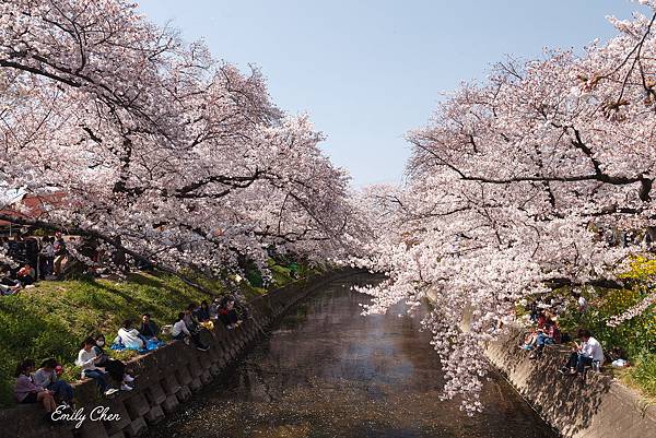 IMG_3284_2048.jpg IMG_3284_2048.jpg