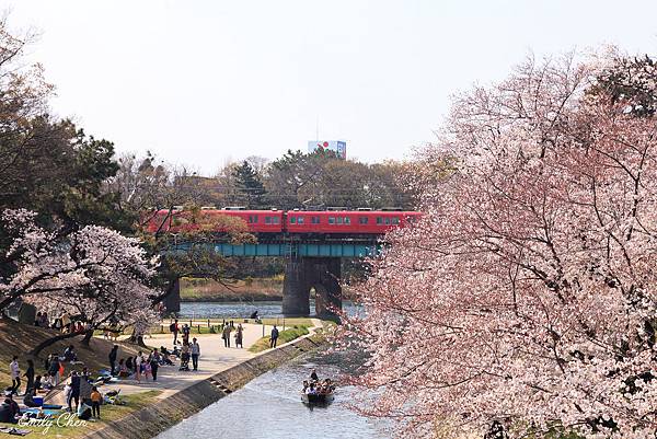 IMG_3238_2048.jpg IMG_3238_2048.jpg