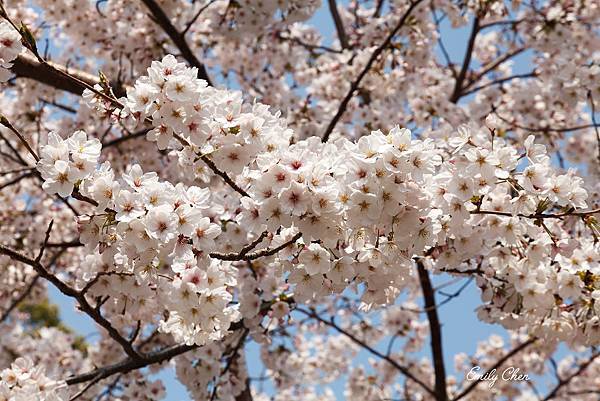 IMG_3225_2048.jpg IMG_3225_2048.jpg