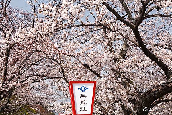 IMG_3220_2048.jpg IMG_3220_2048.jpg