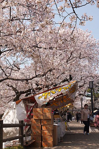 IMG_3230_2048.jpg IMG_3230_2048.jpg