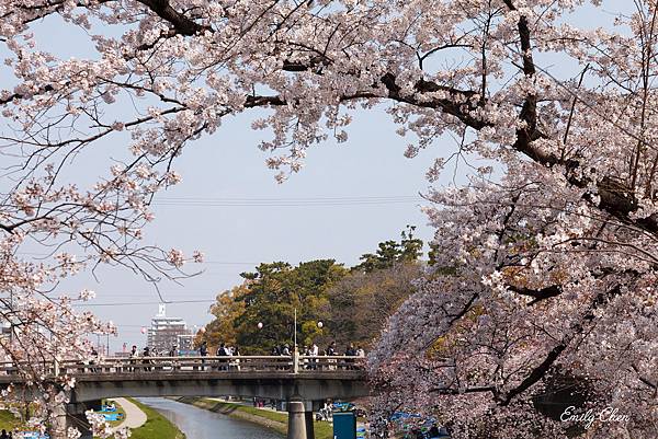 IMG_3234_2048.jpg IMG_3234_2048.jpg