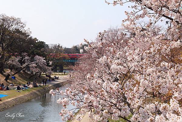 IMG_3246_2048.jpg IMG_3246_2048.jpg