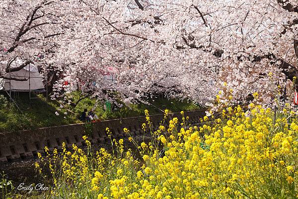 IMG_3287_2048.jpg IMG_3287_2048.jpg