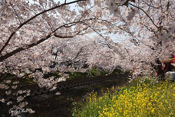 IMG_3288_2048.jpg IMG_3288_2048.jpg