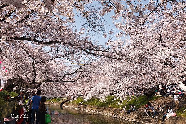 IMG_3293_2048.jpg IMG_3293_2048.jpg