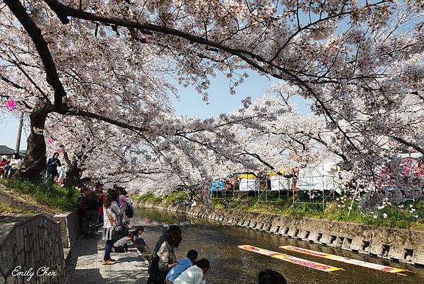 IMG_3298_2048.jpg IMG_3298_2048.jpg