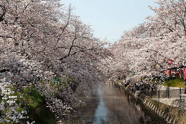 IMG_3306_2048.jpg IMG_3306_2048.jpg