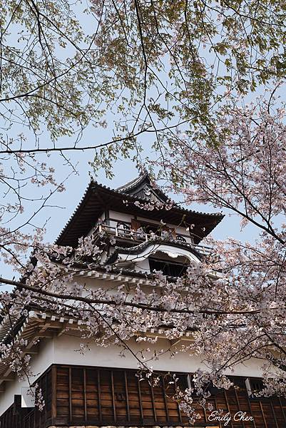 IMG_3402_2048.jpg IMG_3402_2048.jpg