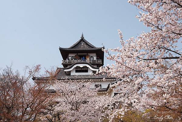 IMG_3397_2048.jpg IMG_3397_2048.jpg