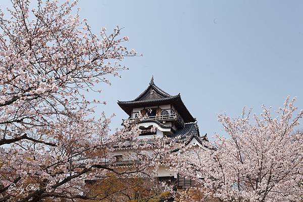 IMG_3385_2048.jpg IMG_3385_2048.jpg