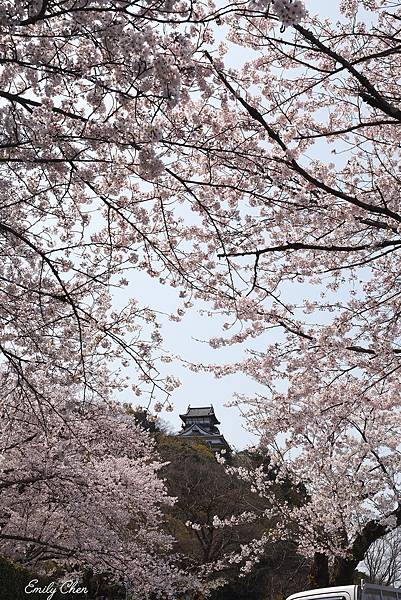 IMG_3353_2048.jpg IMG_3353_2048.jpg