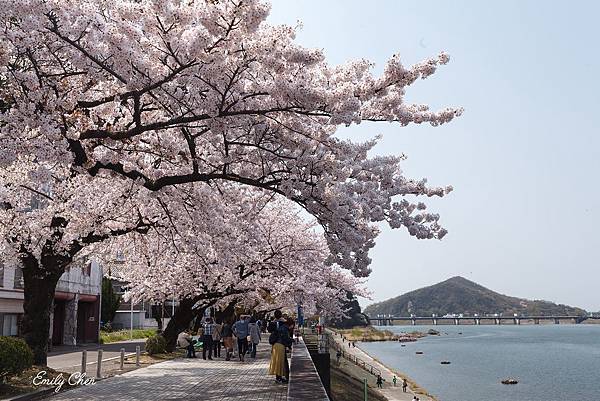 IMG_3314_2048.jpg IMG_3314_2048.jpg