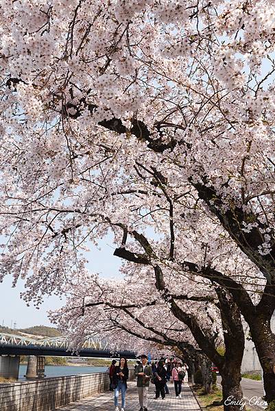 IMG_3344_2048.jpg IMG_3344_2048.jpg