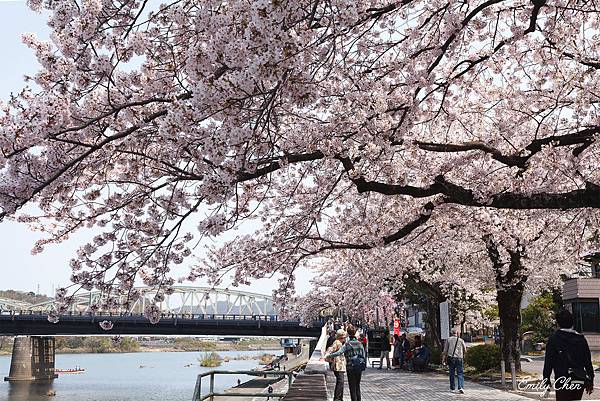 IMG_3328_2048.jpg IMG_3328_2048.jpg