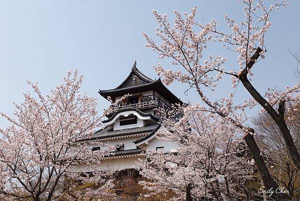 IMG_3393_2048.jpg IMG_3393_2048.jpg