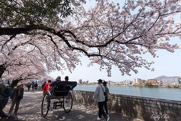 IMG_3318_2048.jpg IMG_3318_2048.jpg