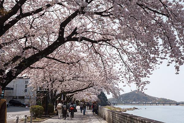 IMG_3333_2048.jpg IMG_3333_2048.jpg