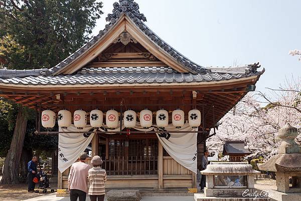 IMG_3370_2048.jpg IMG_3370_2048.jpg