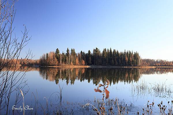 20241011—費爾班克斯極光之旅（Chena Lakes