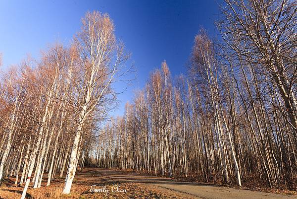 20241011—費爾班克斯極光之旅（Chena Lakes