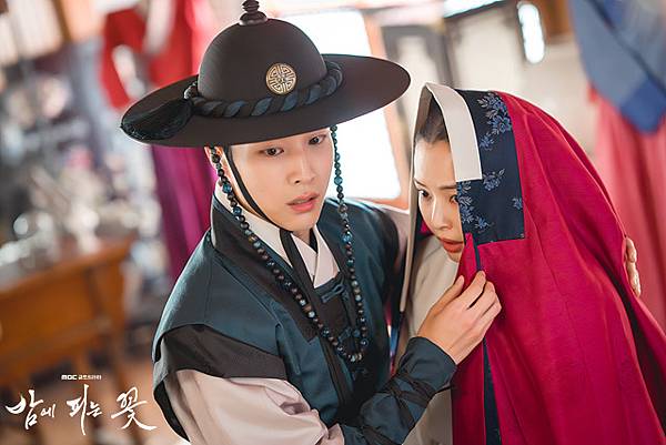 夜晚盛開的花 06.JPG 夜晚盛開的花 06.JPG